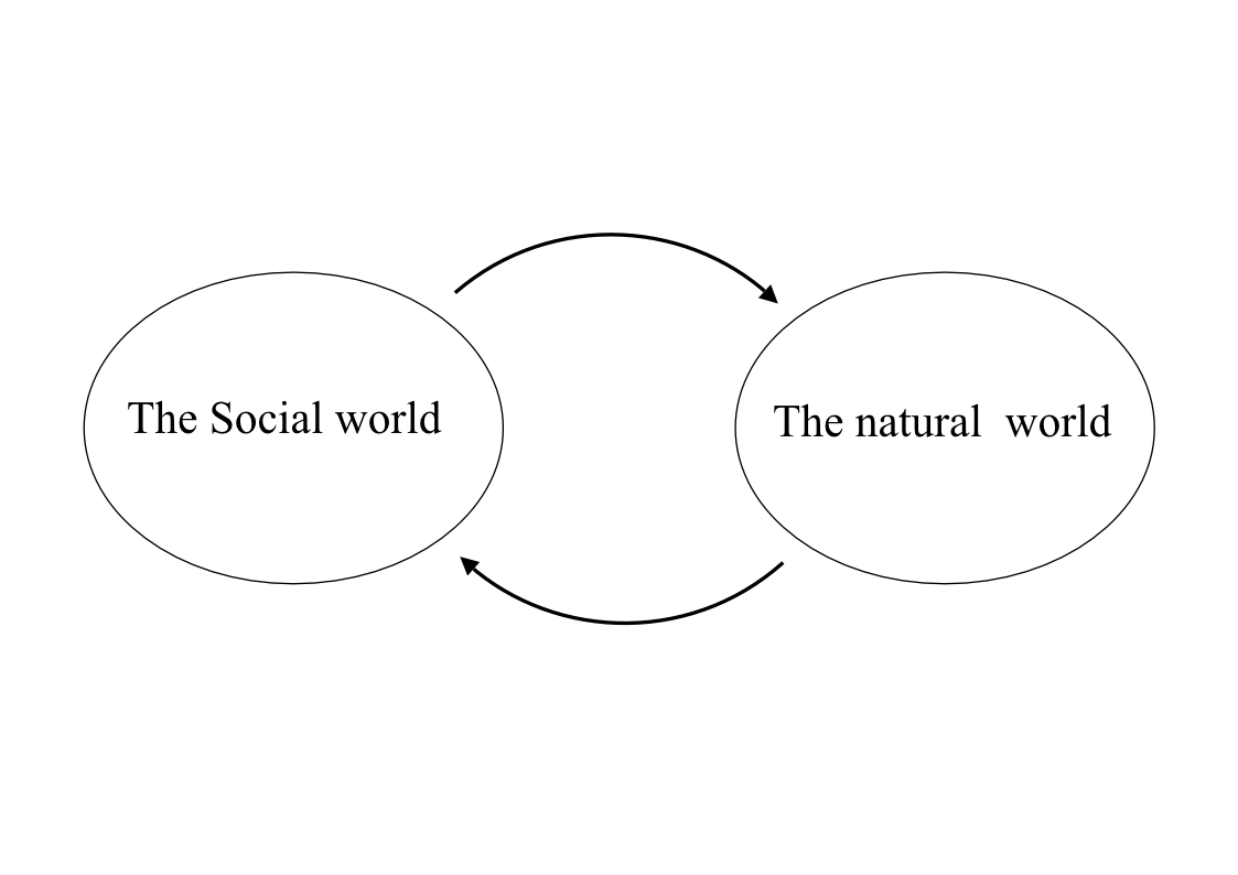 the-natural-and-the-social-in-social-sciences.png